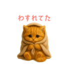 もふもふ子猫ぬいぐるみ【デカ文字ver.】（個別スタンプ：35）