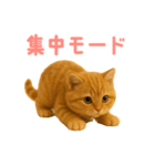 もふもふ子猫ぬいぐるみ【デカ文字ver.】（個別スタンプ：37）