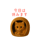 もふもふ子猫ぬいぐるみ【デカ文字ver.】（個別スタンプ：39）