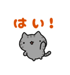 連絡！ねこたんず（個別スタンプ：1）