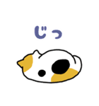 連絡！ねこたんず（個別スタンプ：25）