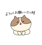 敬語を喋るネコちゃん（個別スタンプ：1）