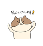 敬語を喋るネコちゃん（個別スタンプ：2）