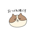 敬語を喋るネコちゃん（個別スタンプ：3）