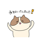 敬語を喋るネコちゃん（個別スタンプ：4）