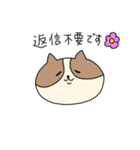 敬語を喋るネコちゃん（個別スタンプ：5）
