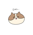 敬語を喋るネコちゃん（個別スタンプ：6）