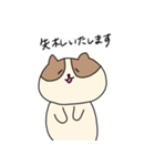 敬語を喋るネコちゃん（個別スタンプ：14）