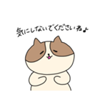 敬語を喋るネコちゃん（個別スタンプ：16）