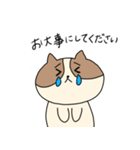 敬語を喋るネコちゃん（個別スタンプ：17）