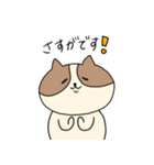 敬語を喋るネコちゃん（個別スタンプ：21）