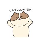 敬語を喋るネコちゃん（個別スタンプ：23）