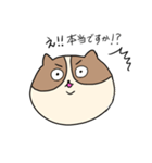 敬語を喋るネコちゃん（個別スタンプ：24）