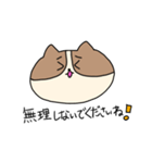 敬語を喋るネコちゃん（個別スタンプ：25）