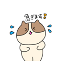 敬語を喋るネコちゃん（個別スタンプ：26）