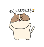 敬語を喋るネコちゃん（個別スタンプ：27）