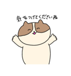 敬語を喋るネコちゃん（個別スタンプ：29）