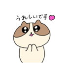 敬語を喋るネコちゃん（個別スタンプ：31）