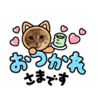愛溢れる！アメショのかりんくん♪（個別スタンプ：5）