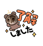愛溢れる！アメショのかりんくん♪（個別スタンプ：7）