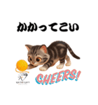 猫好きのためのAIペット似顔絵LINEスタンプ（個別スタンプ：2）