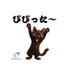猫好きのためのAIペット似顔絵LINEスタンプ（個別スタンプ：25）