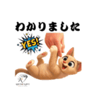 猫好きのためのAIペット似顔絵LINEスタンプ（個別スタンプ：27）