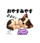 猫好きのためのAIペット似顔絵LINEスタンプ（個別スタンプ：31）
