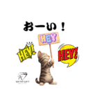 猫好きのためのAIペット似顔絵LINEスタンプ（個別スタンプ：32）