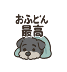 ねむねむシュナと毛布のしあわせ時間（個別スタンプ：2）