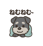 ねむねむシュナと毛布のしあわせ時間（個別スタンプ：3）