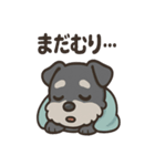 ねむねむシュナと毛布のしあわせ時間（個別スタンプ：4）