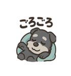 ねむねむシュナと毛布のしあわせ時間（個別スタンプ：6）
