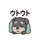 ねむねむシュナと毛布のしあわせ時間（個別スタンプ：9）
