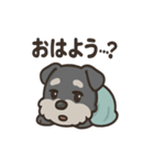 ねむねむシュナと毛布のしあわせ時間（個別スタンプ：10）