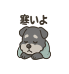 ねむねむシュナと毛布のしあわせ時間（個別スタンプ：13）
