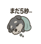 ねむねむシュナと毛布のしあわせ時間（個別スタンプ：16）