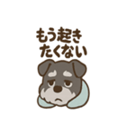 ねむねむシュナと毛布のしあわせ時間（個別スタンプ：23）