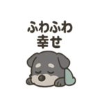 ねむねむシュナと毛布のしあわせ時間（個別スタンプ：24）