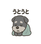ねむねむシュナと毛布のしあわせ時間（個別スタンプ：25）