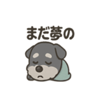 ねむねむシュナと毛布のしあわせ時間（個別スタンプ：29）