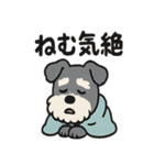 ねむねむシュナと毛布のしあわせ時間（個別スタンプ：31）