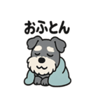 ねむねむシュナと毛布のしあわせ時間（個別スタンプ：32）