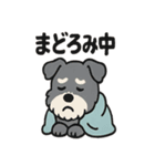 ねむねむシュナと毛布のしあわせ時間（個別スタンプ：33）