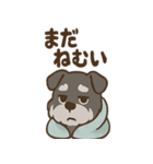 ねむねむシュナと毛布のしあわせ時間（個別スタンプ：34）