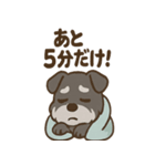 ねむねむシュナと毛布のしあわせ時間（個別スタンプ：36）