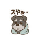 ねむねむシュナと毛布のしあわせ時間（個別スタンプ：39）