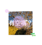 台湾語 大自然の落ち葉 挨拶集（個別スタンプ：2）