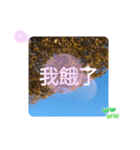 台湾語 大自然の落ち葉 挨拶集（個別スタンプ：5）