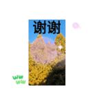 台湾語 大自然の落ち葉 挨拶集（個別スタンプ：8）